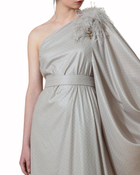 فستان طويل بكم واحد