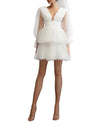 Dress with Dotted Tulle Sleeves