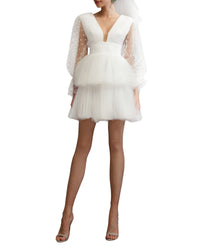 Dress with Dotted Tulle Sleeves