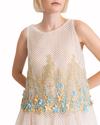 Embroidered Mesh Dress