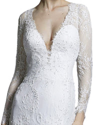 Sheer Long Sleeves Gown