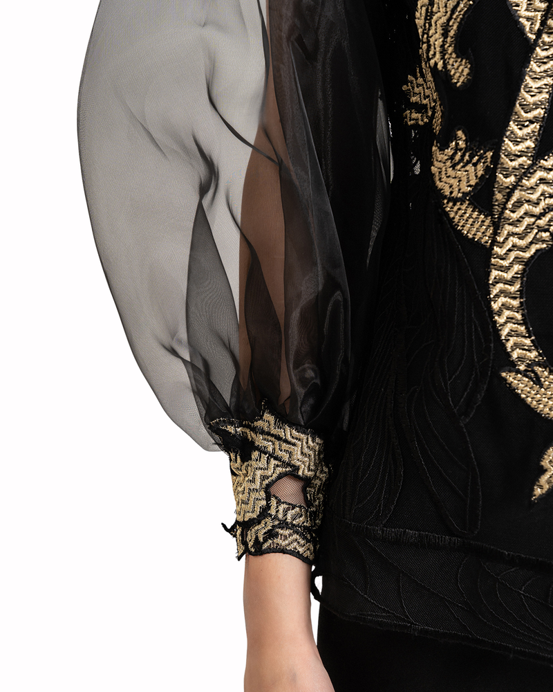 Organza Puffed Sleeves Top