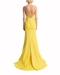 Deep V-Neckline and Backline  Dress