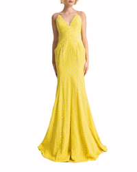 Deep V-Neckline and Backline  Dress