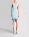 Lace V-Neck Dress