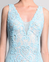 Lace V-Neck Dress