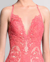 Lace Sheer Panel Dress