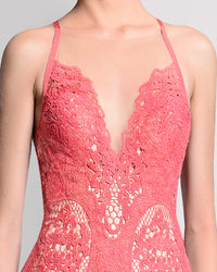 Lace Sheer Panel Dress