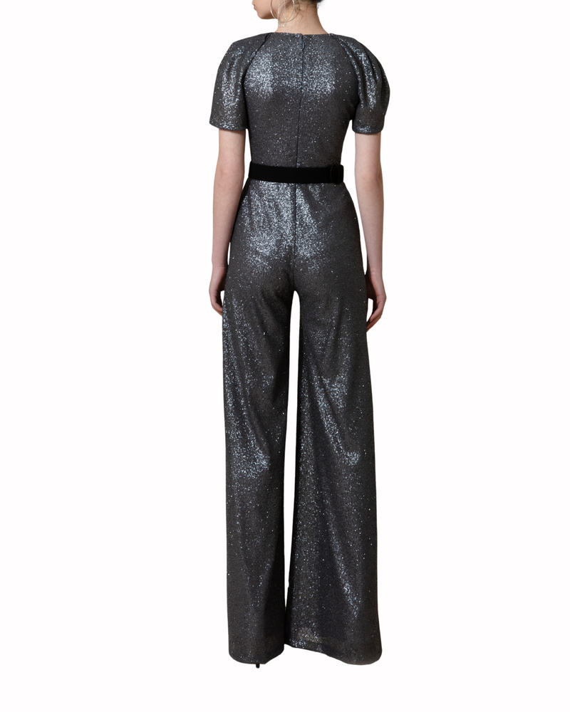 Deep V-Neckline Jumpsuit