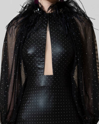 Raglan See-Through Feathered Dress