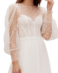 Dotted Tulle Flared Gown
