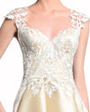 Embroidered A-Line Dress