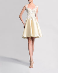 Embroidered A-Line Dress