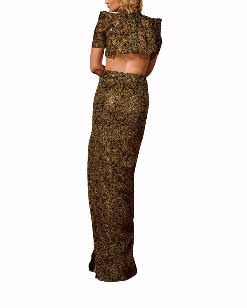Puffed Short Sleeves Dress