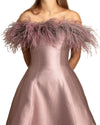 Off-Shoulders Dress with Feathers