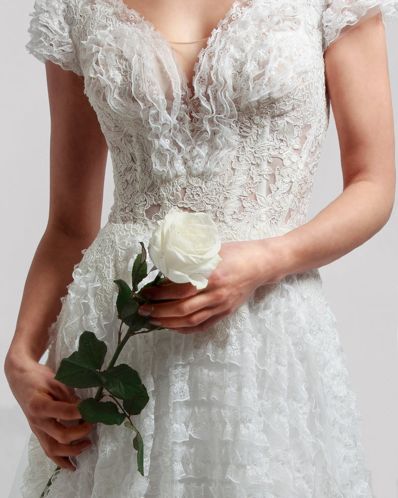 Lace Bands Gown