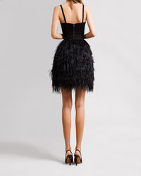 Feather Skirt Paired With Top