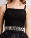 Feather Skirt Paired With Top