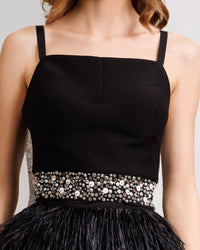 Feather Skirt Paired With Top