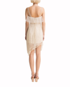 Asymmetrical See-Through Dress