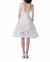 Structured Voluminous Skirt Dress