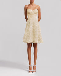 Rushed Tulle Strapless Dress